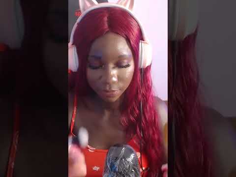 2 brushes on microphone asmr