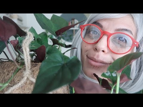 ASMR | Nonna Shows You Her Plant Collection! 🌿 [ft. Flob]