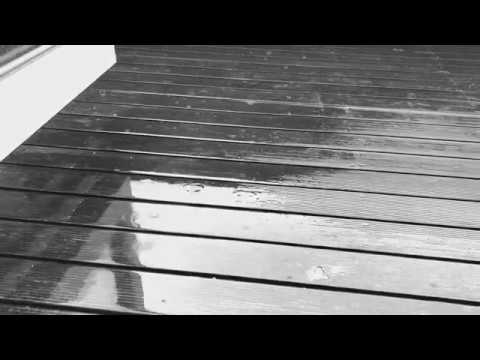 Rain sounds - ASMR 🌧