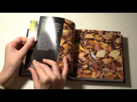 ASMR Catalonia Picture Book | Thick Pages | No Talk | Tapping | Tracing