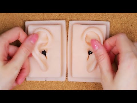 【ASMR/無言】新しいマイクを使って耳をゾワゾワ癒す60分👂 Healing Ear With New Mic in 60 Minutes