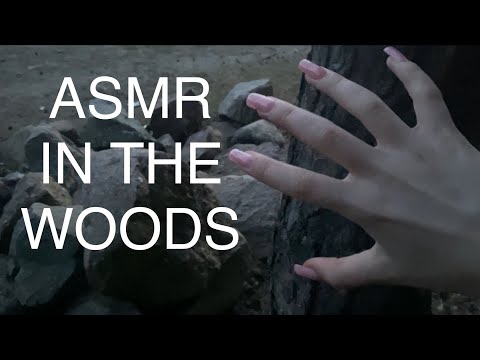 ASMR walk in the woods 🌲