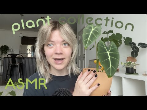 ASMR house plant collection 🪴 show & tell (planty ramble + nature sounds)
