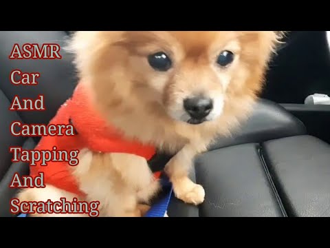 ASMR Car And Camera Tapping And Scratching(Lo-fi)Whispered