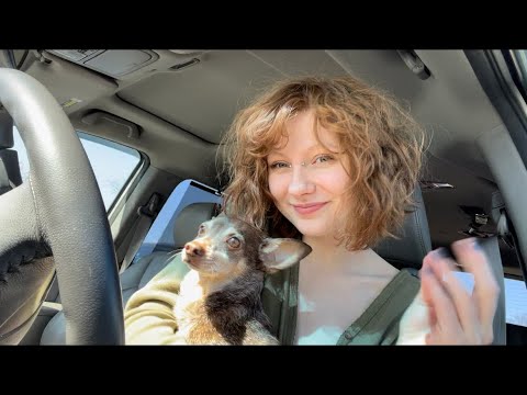 asmr scatterbrained car ramble