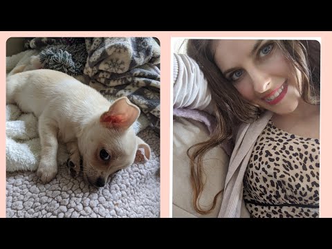ASMR 🐾 ✨✨ Our New PUPPY ✨✨🐾💝 Sleepy Whispers
