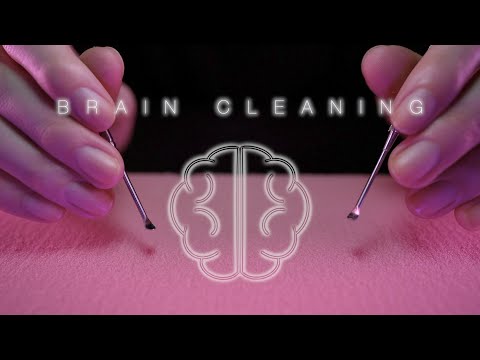 [ASMR]🧠脳かき - Brain Cleaning(No talking)