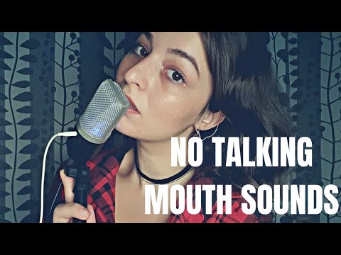 ASMR | No Talking Mouth Sounds 💜 | Ağız Sesleri ve Yüze Dokunmaca 🥰