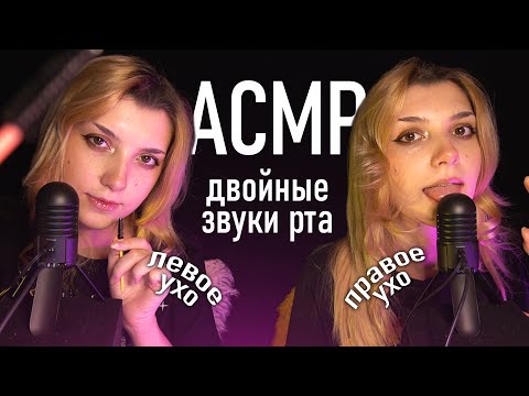 АСМР 💞👅 двойные звуки рта / spit painting / поцелуи // asmr mouth sounds Samson Meteor ♥