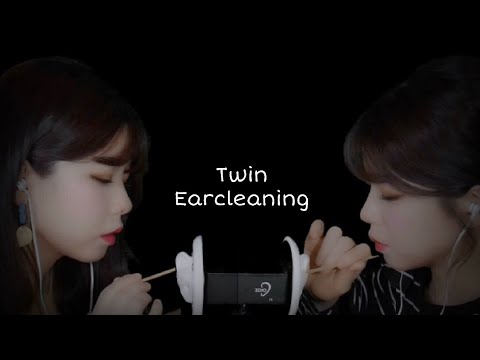 ASMR 쌍둥이 솜털귀청소 & 쌍둥이 이어블로잉│Twin earcleaning & Twin earblowing (노토킹 No talking)