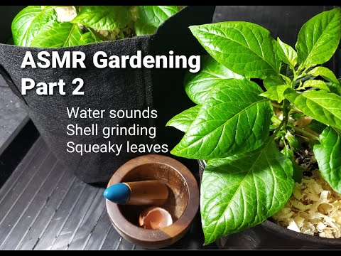 ASMR Gardening Part 2 (water, grinding, squeaking)
