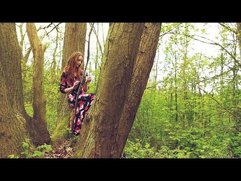 Walk though the windy woods 🌲🍃 🌬️/ Nature ASMR