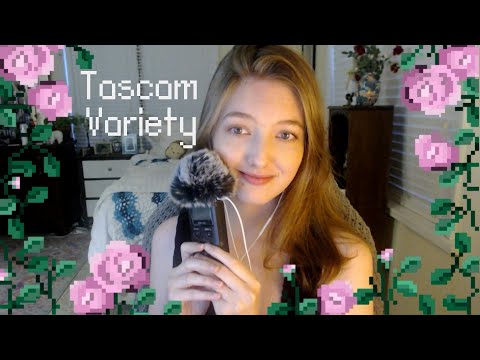 ASMR Tascam Variety of Triggers (mouth sounds, fluffy mic, trigger words)