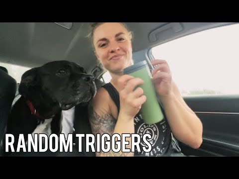 💥FAST & AGGRESSIVE ASMR IN THE CAR w/ MY DOG 🐶 RANDOM TRIGGERS
