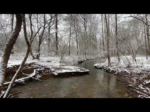 ASMR Walking through Crunchy snow (nature sounds)