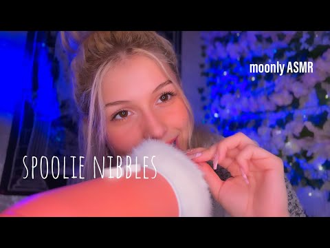 ASMR-spoolie nibbles😆(puretree collab,mouthsounds,tingly…)