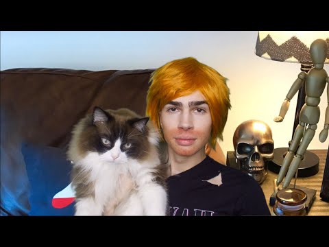 ASMR- Shane Dawson Does His Cats Makeup 🐈 (You Are Cheeto)