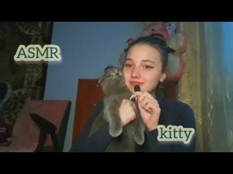 АСМР| с котом|шепот| ASMR | with a cat | whisper |