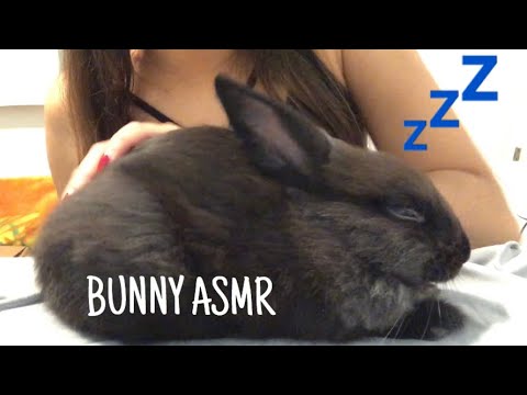 ASMR💙 PUTTING MY BUNNY TO SLEEP (FINGER FLUTTERING AND HAND SOUNDS)