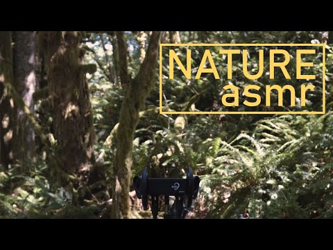 THE NATURE ASMR GAME - The ASMR Collection Invents a New Game for The ASMR Community!