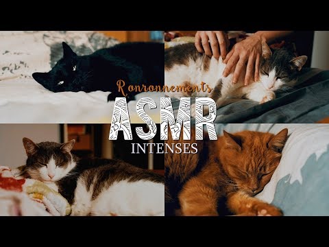 ASMR Français ~ RONRONTHÉRAPIE 🐱 RONRONNEMENTS INTENSES / Cat Purring
