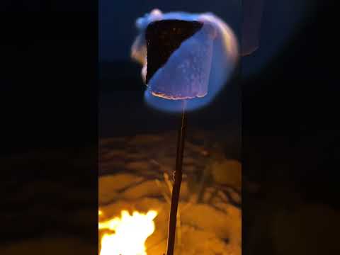 ASMR roasting marshmallows on the fire 🍡