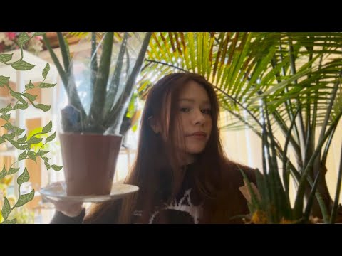 ASMR | 🌿Plant Shop Roleplay🌿(Whispering, Tapping, Scissors, Spray Bottle)