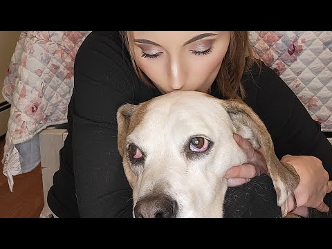 ASMR With Buddy 🐕 Whispers & Scratching