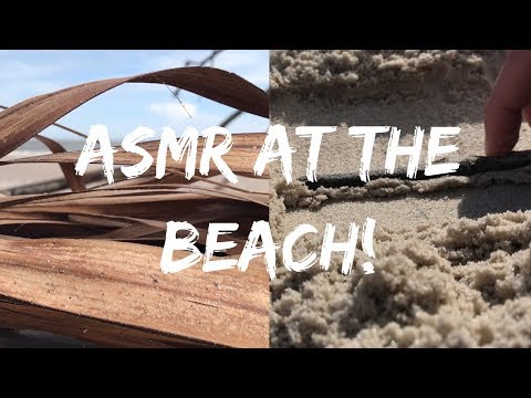 ASMR AT THE BEACH! (Sand, waves crashing, etc.)