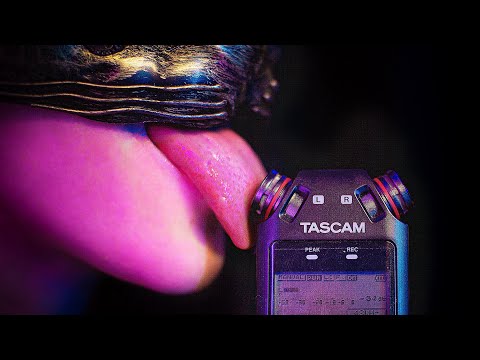 TASCAM MOUTH SOUNDS w/ delay ~ but the sensitivity is at 110%  🤯