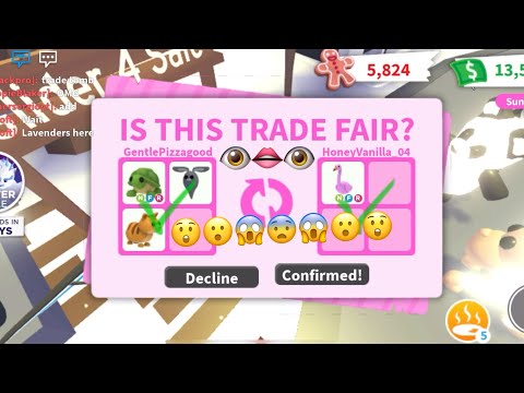 Adopt Me Trading 🦩 like you’ve never seen - 🦩🦩🦩Flamingo yes 🦩🦩🦩🦩🦩