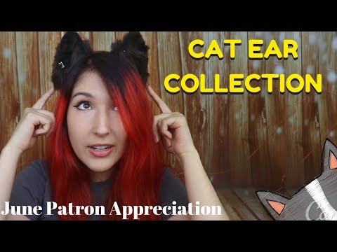 ASMR - CAT EAR COLLECTION ~ June Patron Appreciation! ~
