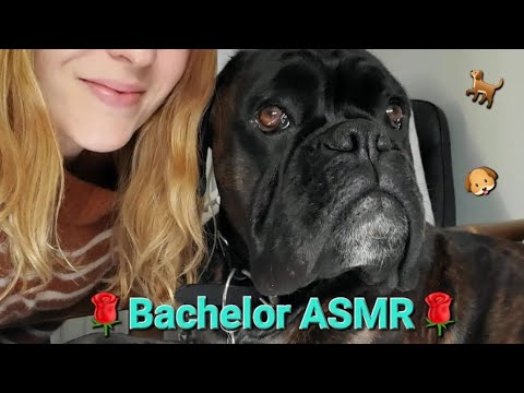 Boxer dog tries ASMR for the first time 🐶🐾 (NO TALKING)