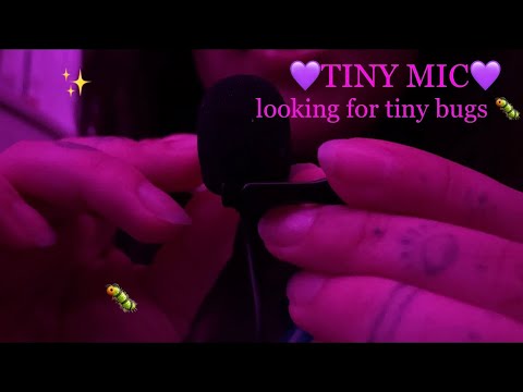 ASMR| looking for tiny bugs in a tiny mic
