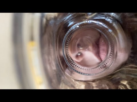 ASMR│POV: you keep getting stuck!!! (glass jar, paper towel roll, containers) 🧻 🤠