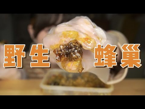 【ASMR】HONEYCOMB MUKBANG EATING SOUNDS | 野生蜂巢竟然还有虫卵 | 酱酱的治愈屋