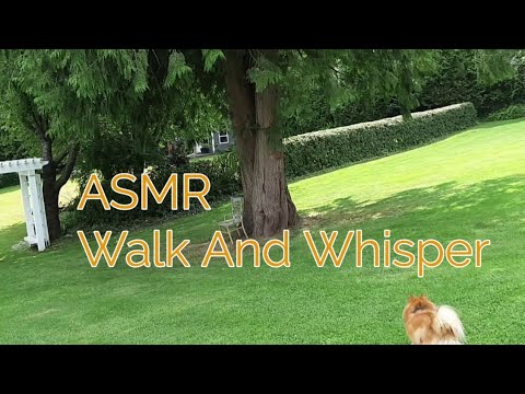 ASMR Walk And Whisper (Lo-fi)
