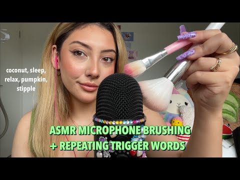 ASMR mic brushing + trigger words! 💞 ~for sleep, study, and relaxation~ | Whispered