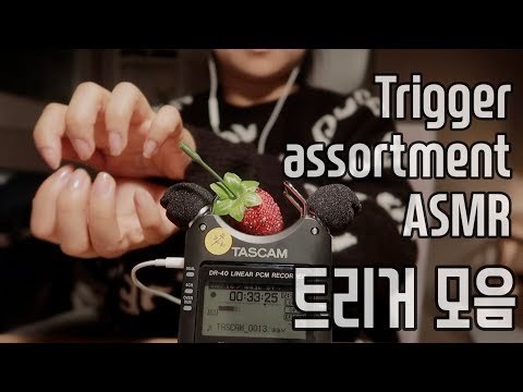 [한국어 Korean ASMR] (no talking) triggers for sleep & tingles 😴