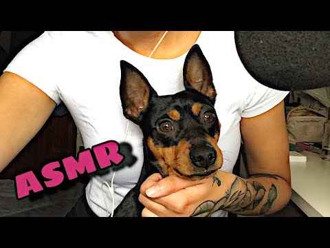 ASMR Tingles - Mouth sounds, tapping, dog sounds🎧😴 | ASMR español