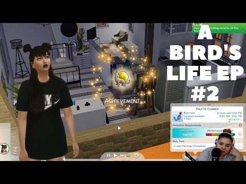 ASimsMR - A Bird's Life #2 **ASMR Sims Lets Play!**