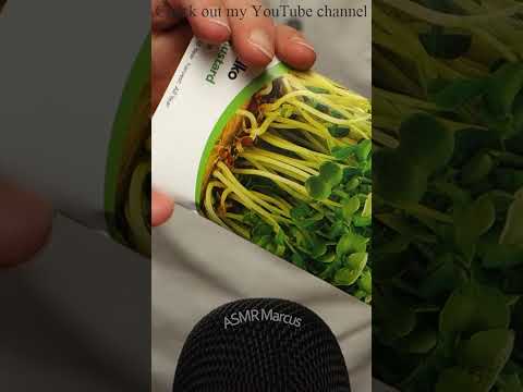 ASMR Tipping and shuffling seeds in a packet #short