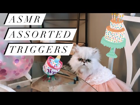 ASMR Assorted Triggers! (Tapping, Whispers, Crunches)