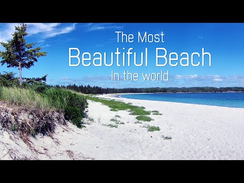 The Most Beautiful Beach in the World