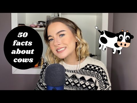 ASMR | 50 facts about cows