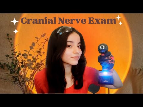 ASMR | Cranial Nerve Exam but with the Wrong Tools