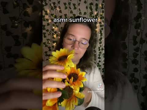 asmr sunflower 😴 #shorts #asmrshorts #shortsvideo