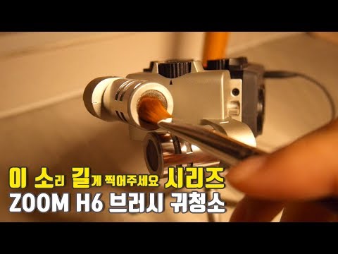 [No talking ASMR] Ear cleaning ZOOM H6 With BRUSH / H6 세필 귀청소 / 耳かき