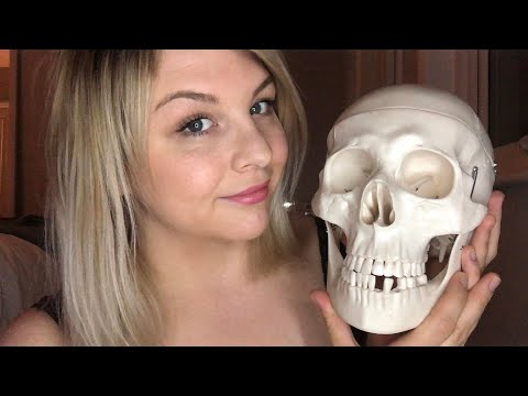 🌟💀Tippity Tappity on Clive's Skull ASMR💀🌟 [Whispers] [Tapping] [Scratching]