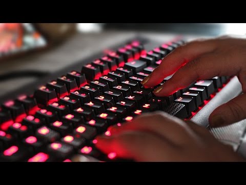 ASMR Typing on a MECHANICAL KEYBOARD [ Sounds Only ]